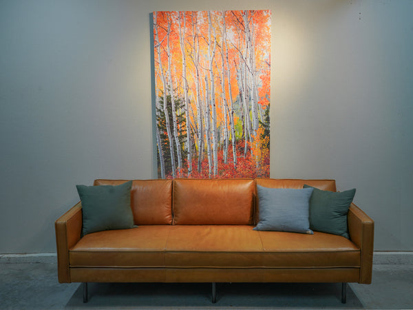 Warehouse Sale 40x60 Chromaluxe Metal Print of "Kindling" SOLD