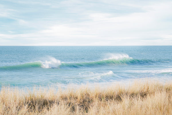 waves and beach grasses in france. 