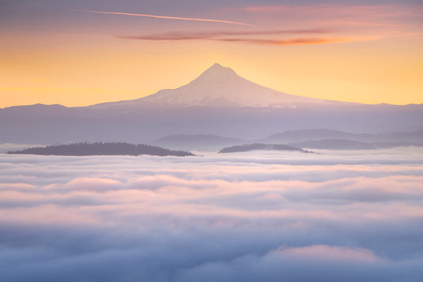 mt hood at sunrise above the a valley of fog. 