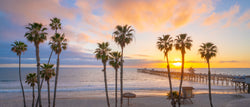 sunset and palm trees over the pacific ocean in California Landscape photography. 