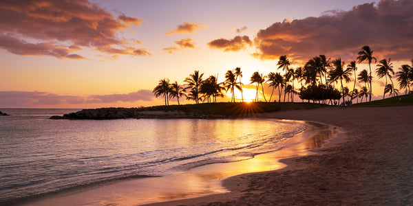 Koolina Cove, Oahu, Hawaii Palm trees at sunset. 