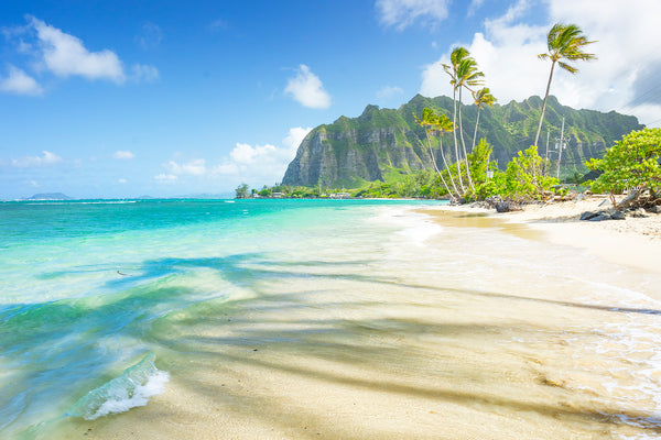Mountains, palm trees, and tropical water in Oahu Hawaii. 
