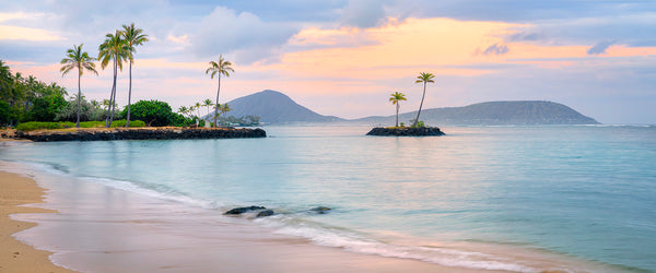 Photography of Palm tree island in oahu Hawaii. 