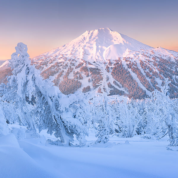 林祐介　KARHU & Picturesque Winter Landscape Winter's 