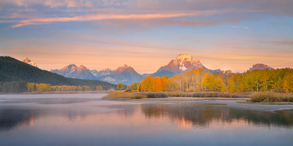 Grand Teton National Park at Oxbow Bend with autumn aspen trees. 