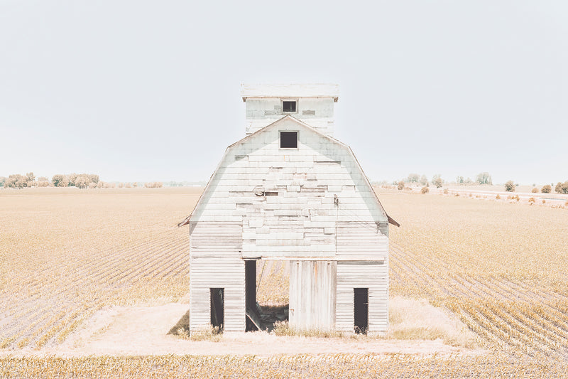 white barn in the corn fields of Illinois. 