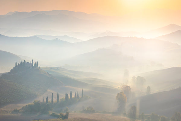 vineyards in tuscany at sunrise. 