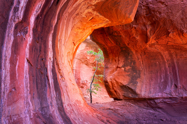 "Vortex"