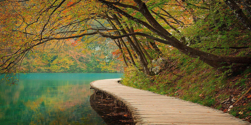 A boardwalk along a lake in Plitvice National Park, Croatia. By Lijah Hanley. 