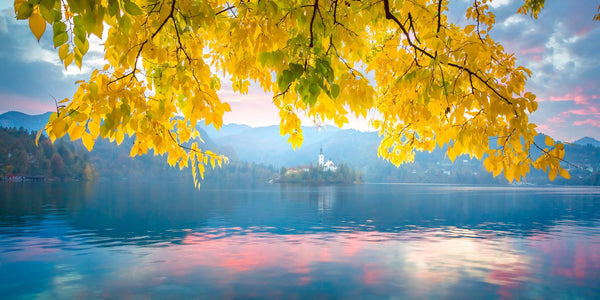 Autumn color at Lake Bled in Slovenia. By Lijah Hanley. 
