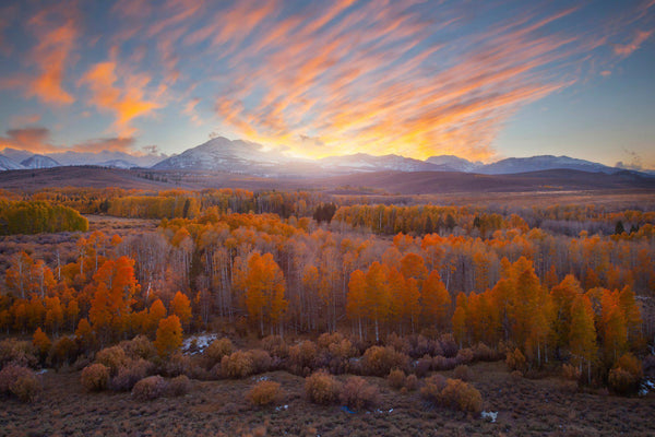 Fall color at sunset in California