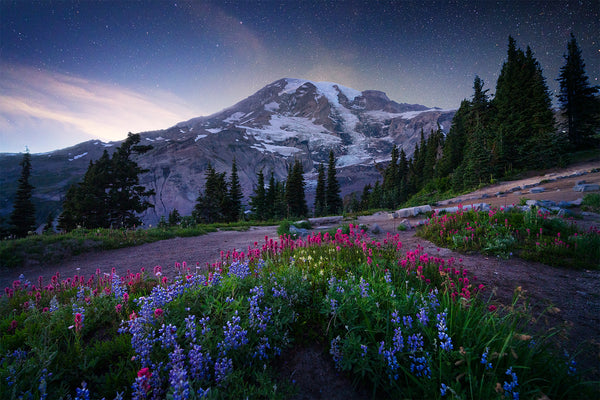 mt rainier at night. 