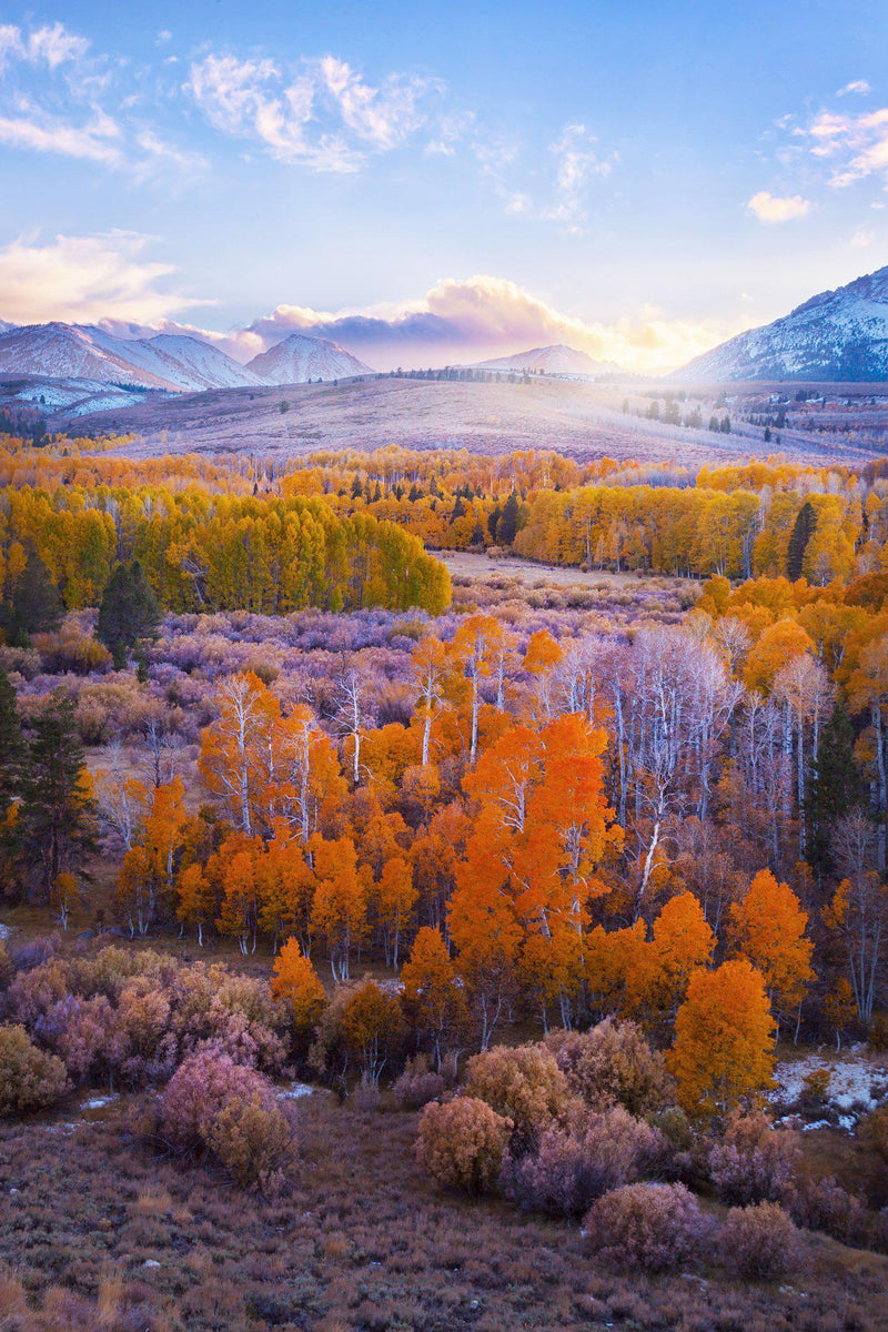 "Conway Pass"