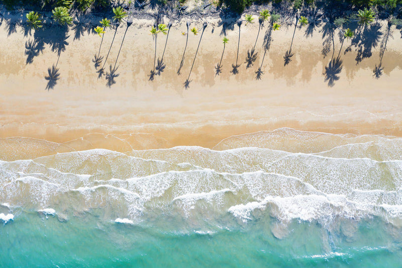 An arial of a beach lined with palm trees in Australia 