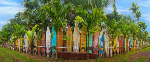 Hawaiian Landscape photography by Lijah Hanley. A colorful surfboard fence lines a property on Maui, Hawaii. 