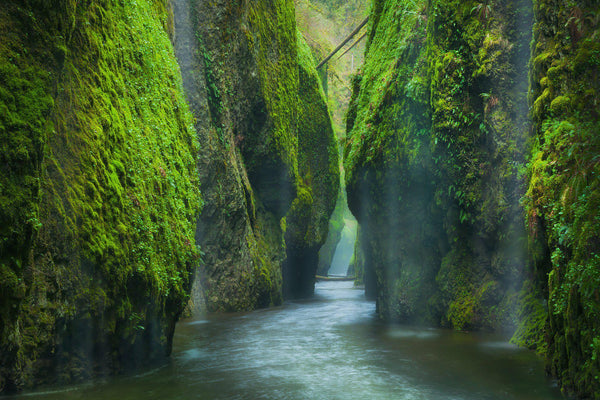 A green canyon in the Columbia river gorge in Oregon
