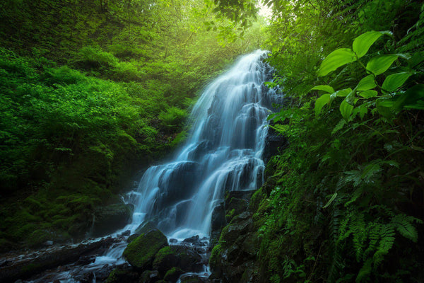 "Fairy Falls"