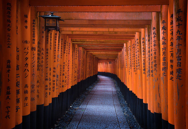The Fushimi Inari temple in Kyoto Japan 