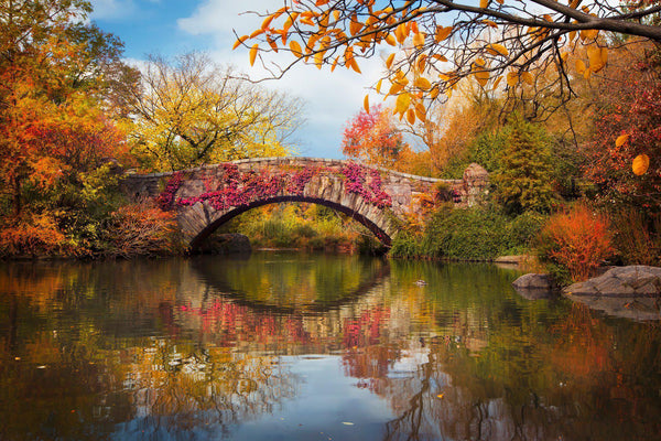 "Gapstow Bridge"