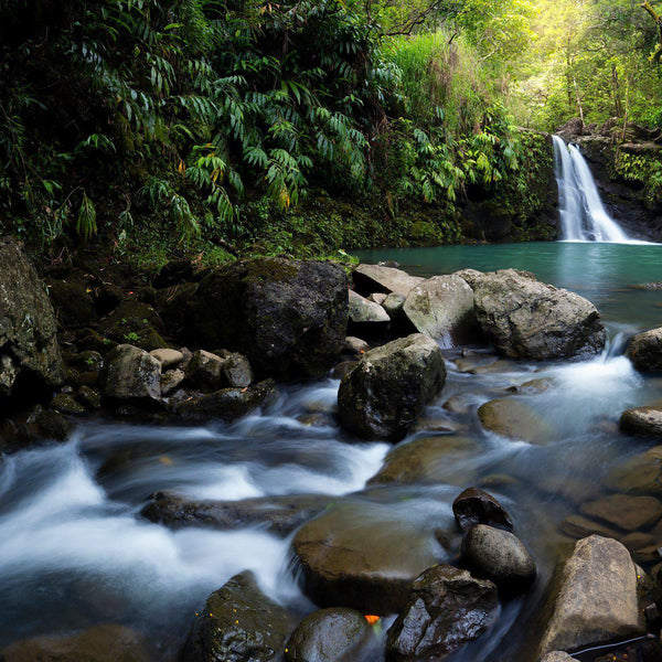 hana-falls-lijah-hanley-