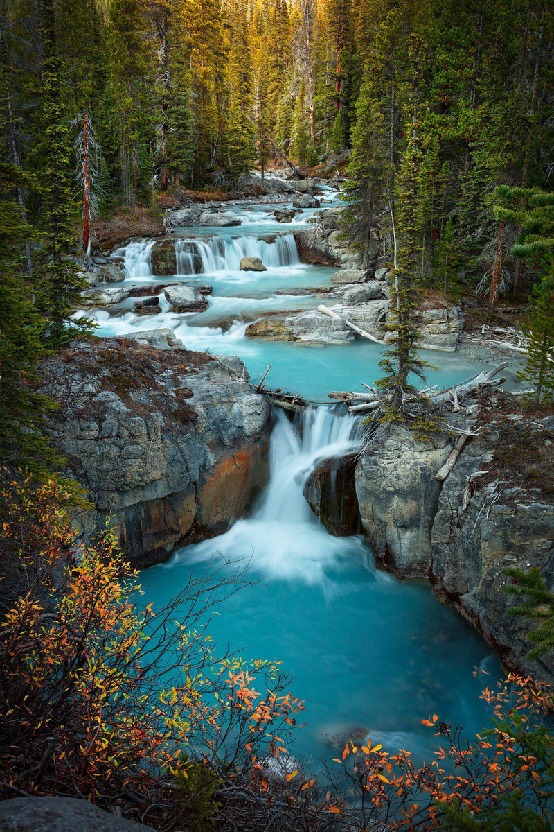 A waterfall surrounded by fall color in Jasper Canada