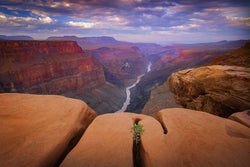 Sunrise at the Grand Canyon 