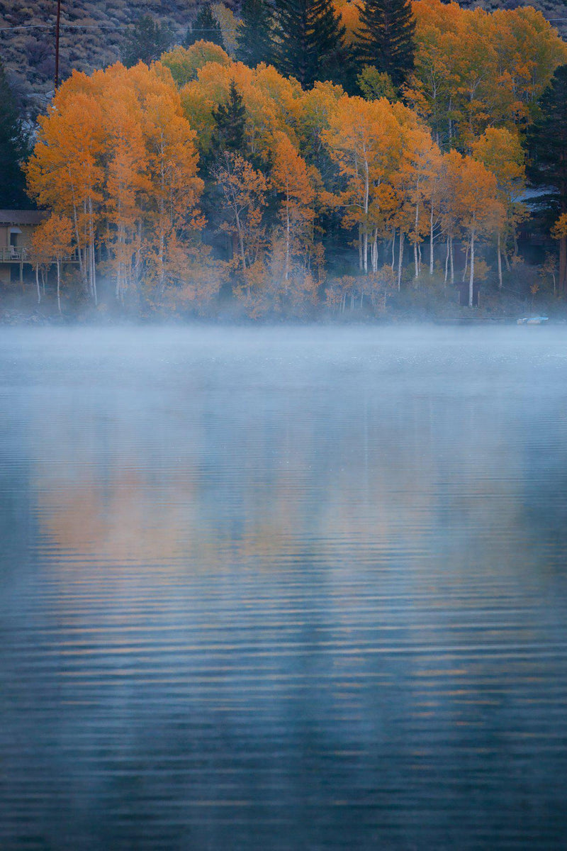 A misty autumn day in June Lake in California 