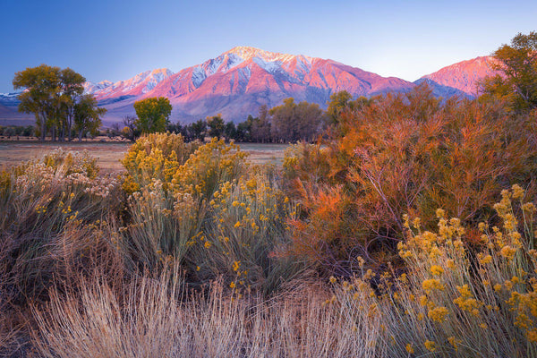 Owens Valley in the fall in Bishop California