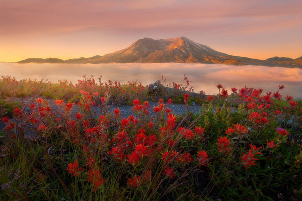 Mount Saint Helens at sunrise