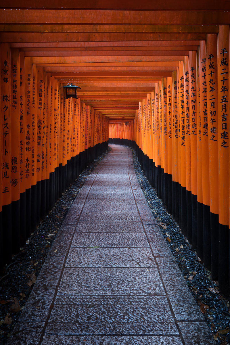 Torii gates at fushimi inari in kyoto japan. By Lijah Hanley.  