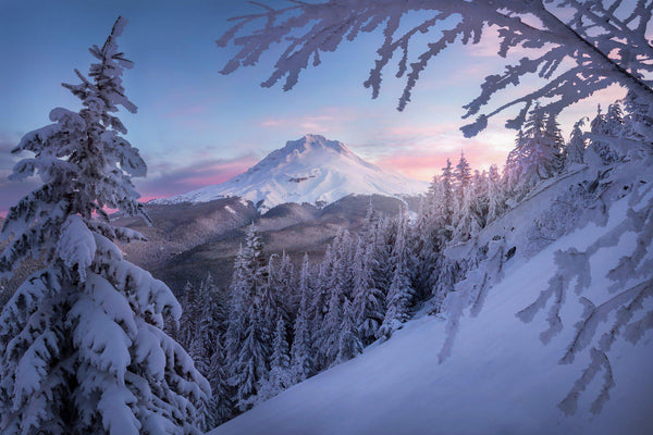 Mt. Hood at sunrise