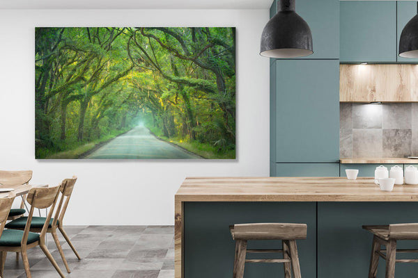 "Southern Jungle"