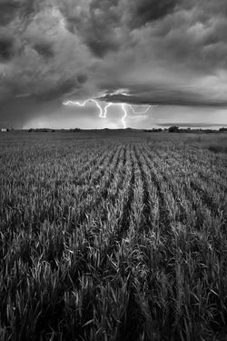 Rows of crops and lightning in Amarillo, Texas. By Lijah Hanley. 