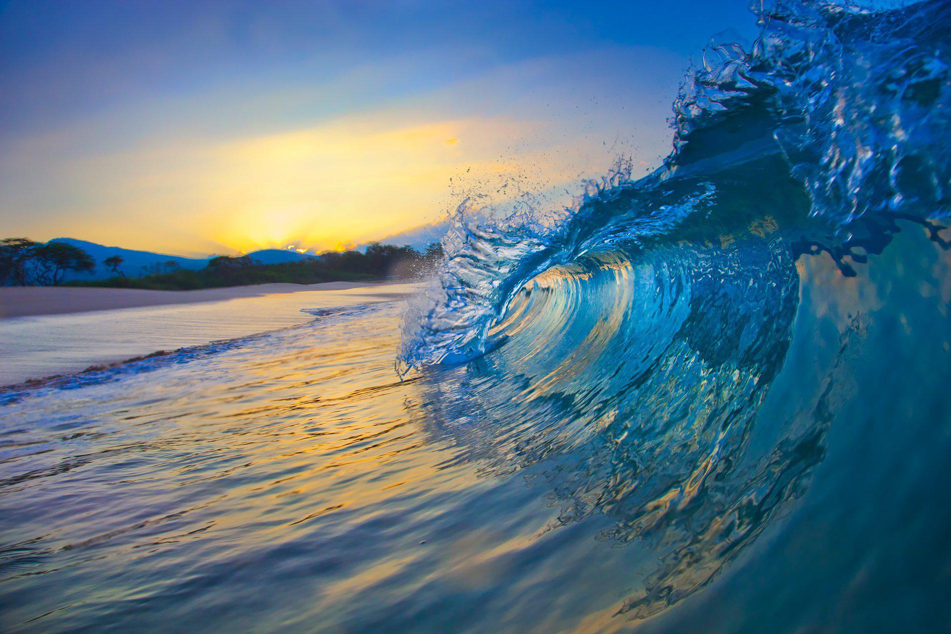 the-curl-lijah-hanley-