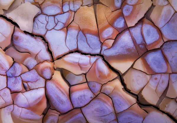 Dried cracked mud on the alvord desert. By Lijah Hanley. 