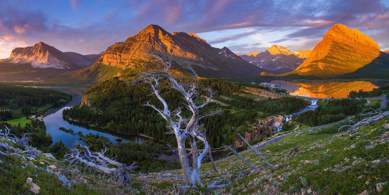 "Twisted Glacier"