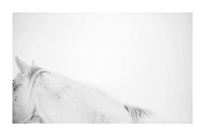 Fine art black and white photograph of horses in the snow by Lijah Hanley. 